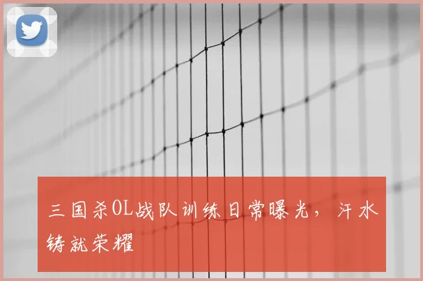 三国杀OL战队训练日常曝光，汗水铸就荣耀